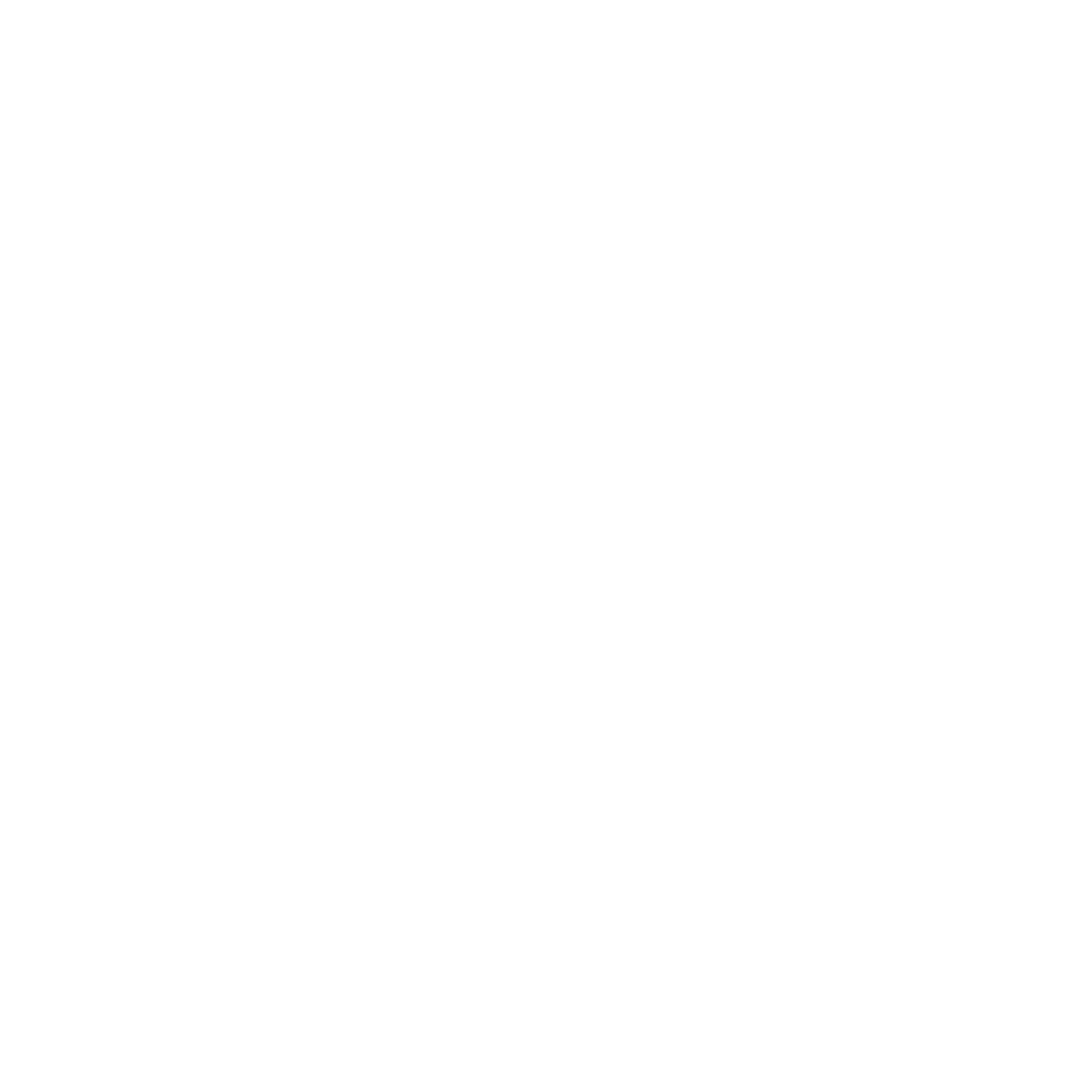 logo light